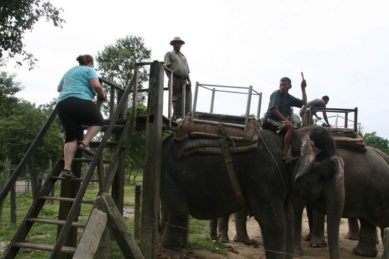 India & Nepal 2011 - 0536